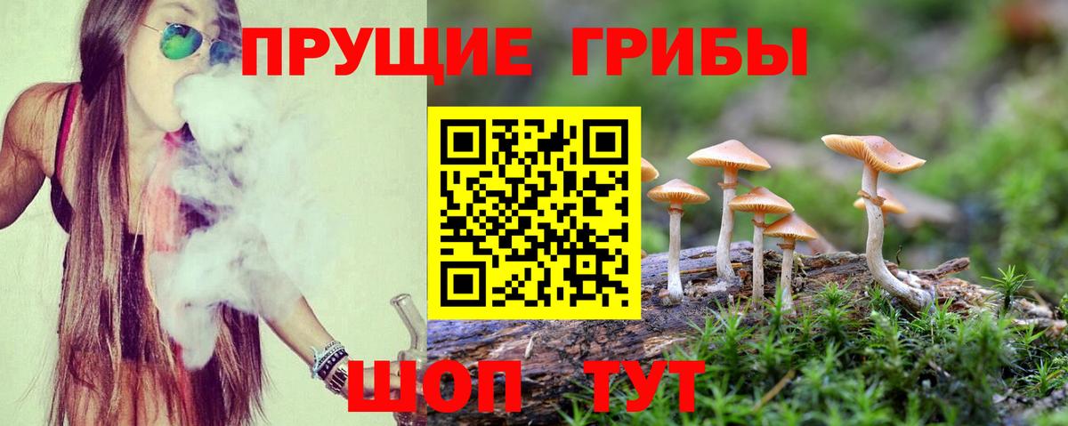 Галлюциногенные грибы Psilocybe  купить наркоту  Югорск  Вход с VPN 