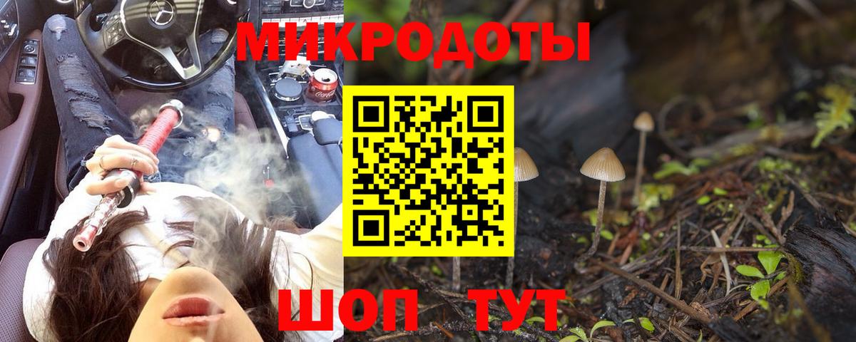 Псилоцибиновые грибы Psilocybe Югорск